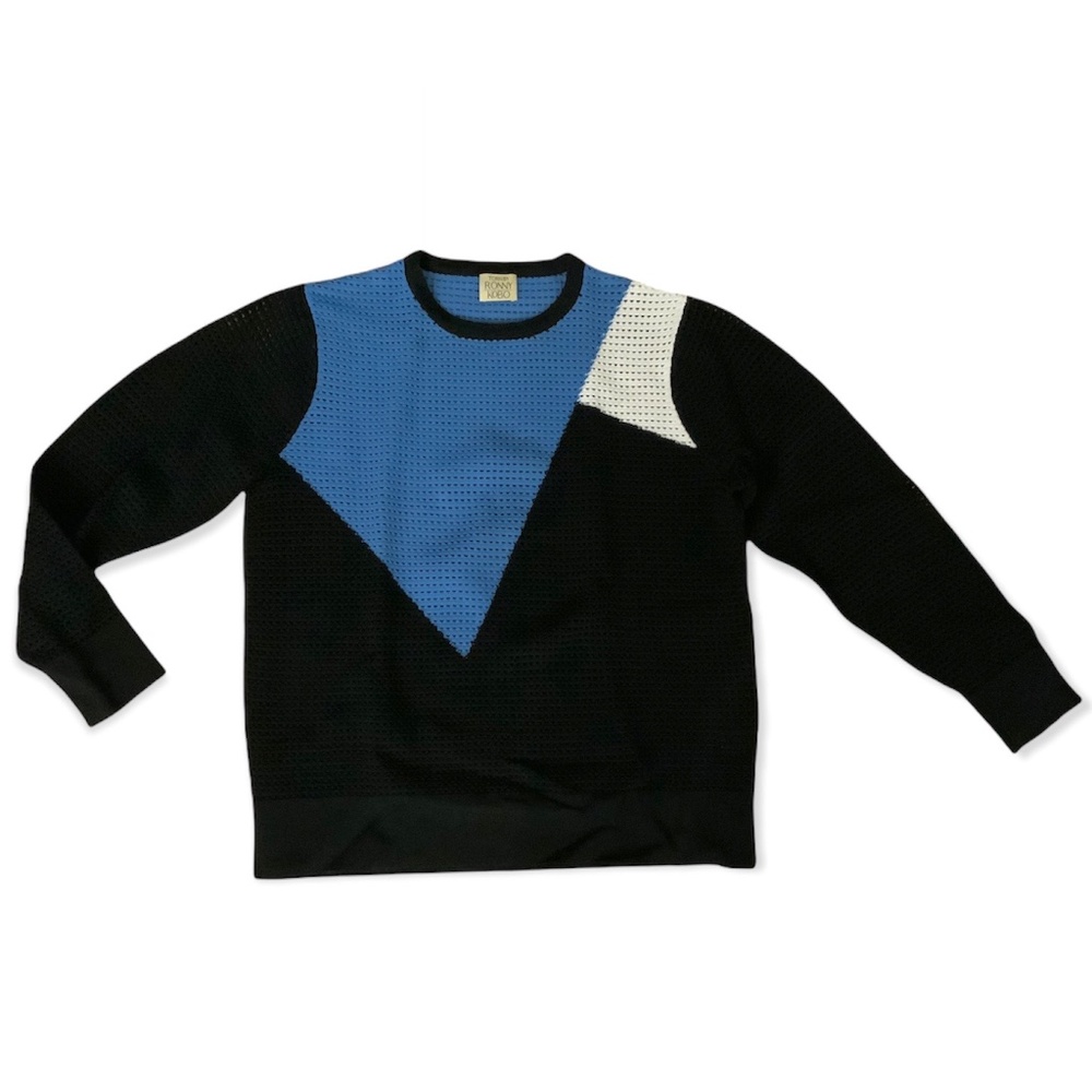 Torn by Ronny Kobo perforated colorblock sweater crew neck pullover